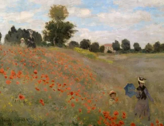 Les Coquelicots à Argenteuil